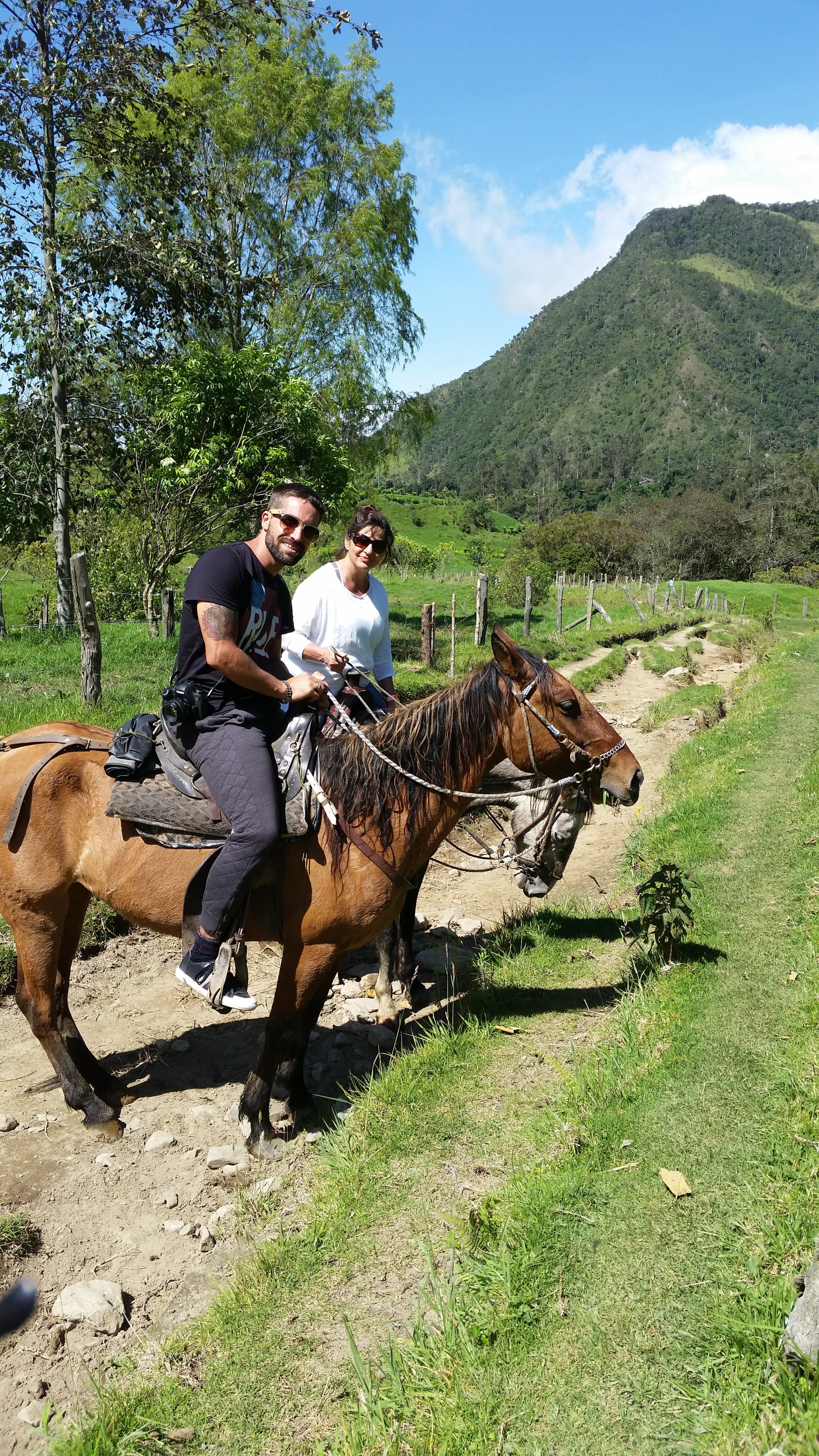 The builder and his mother riding horses through the green mountains, a road they traveled together.